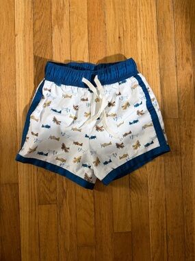 Fin & Vince 18/24 Airplane Swim Shorts